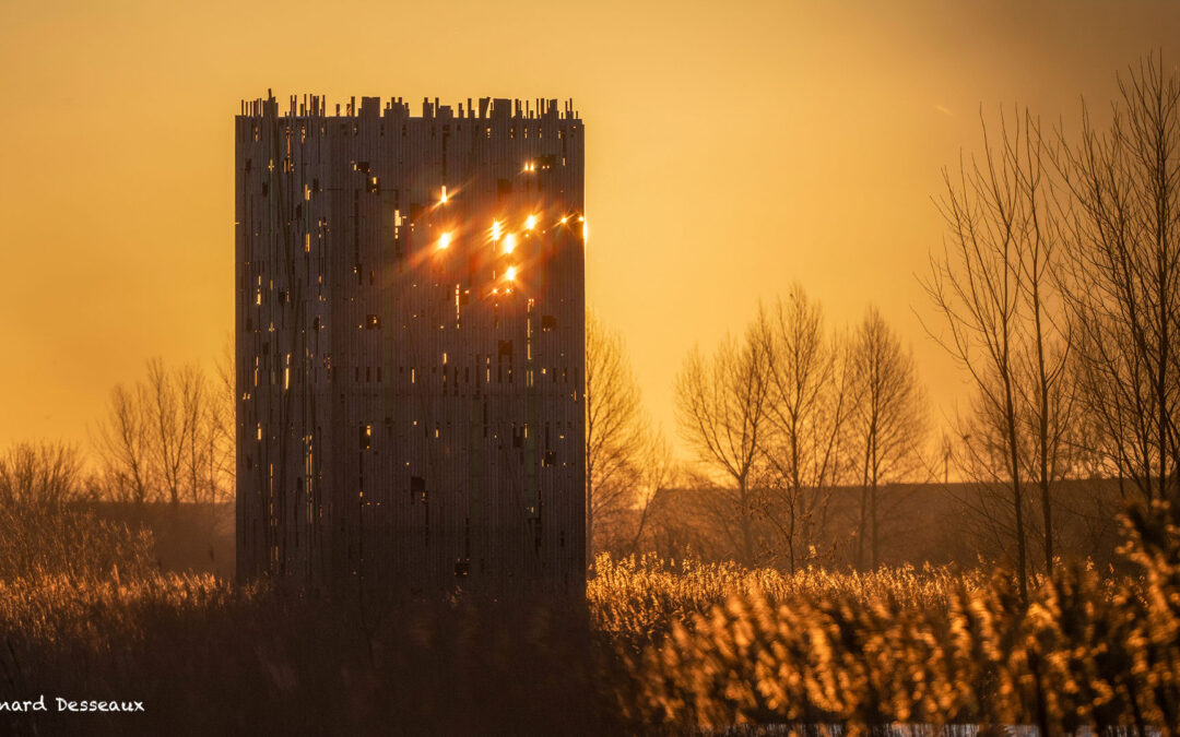 Retour au Blankaart, mercredi 25 février 2026