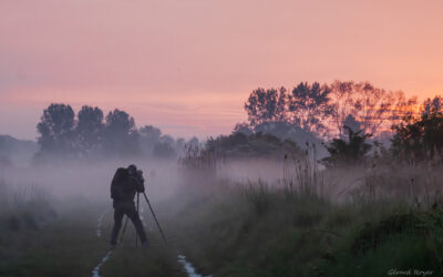 Baie de Somme, lundi 27/04/2026