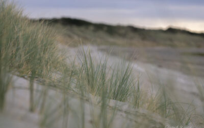 Baie de somme par le chemin des bergers le 11-09-2026